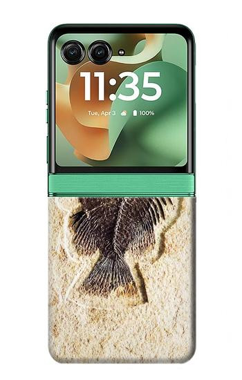 S2562 fossile poisson Etui Coque Housse pour Motorola Razr 70+,60+, Razr+ (2026, 2025, 2024)
