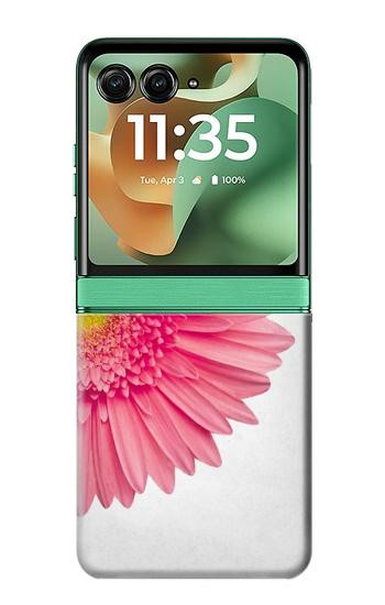 S3044 Rose Gerbera millésimé Etui Coque Housse pour Motorola Razr 70+,60+, Razr+ (2026, 2025, 2024)