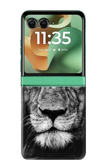 S3372 Lion Visage Etui Coque Housse pour Motorola Razr 70+,60+, Razr+ (2026, 2025, 2024)