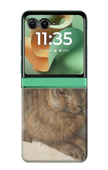 S3781 Albrecht Durer Young Hare Etui Coque Housse pour Motorola Razr 70+,60+, Razr+ (2026, 2025, 2024)