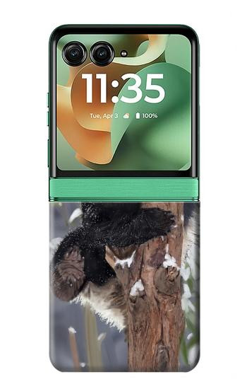 S3793 Peinture de neige mignon bébé panda Etui Coque Housse pour Motorola Razr 70+,60+, Razr+ (2026, 2025, 2024)
