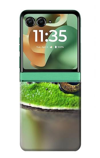 S3845 Grenouille verte Etui Coque Housse pour Motorola Razr 70+,60+, Razr+ (2026, 2025, 2024)