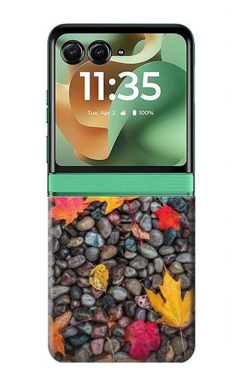 S3889 feuille d'érable Etui Coque Housse pour Motorola Razr 70+,60+, Razr+ (2026, 2025, 2024)