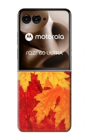 S0479 feuille d'érable Etui Coque Housse pour Motorola Razr 70 Ultra, 60 Ultra, 50 Ultra, Ultra 2026, Ultra 2025