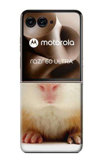 S1619 Mignon de porc Guinée Etui Coque Housse pour Motorola Razr 70 Ultra, 60 Ultra, 50 Ultra, Ultra 2026, Ultra 2025