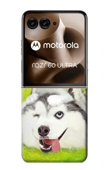 S3795 Peinture Husky Sibérien Ludique Chaton Grincheux Etui Coque Housse pour Motorola Razr 70 Ultra, 60 Ultra, 50 Ultra, Ultra 2026, Ultra 2025
