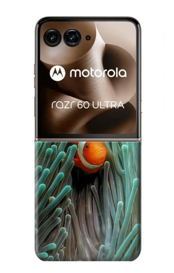 S3893 Poisson-clown Ocellaris Etui Coque Housse pour Motorola Razr 70 Ultra, 60 Ultra, 50 Ultra, Ultra 2026, Ultra 2025