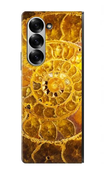 S1789 ammonite Fossiles Etui Coque Housse pour Samsung Galaxy Z Fold 7