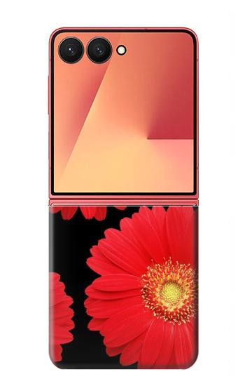 S2478 fleur rouge Daisy Etui Coque Housse pour Samsung Galaxy Z Flip 7