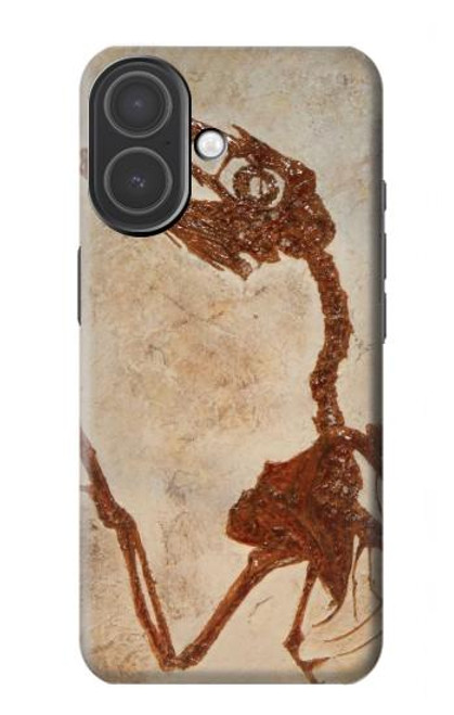 S0379 Fossile de dinosaure Etui Coque Housse pour iPhone 17