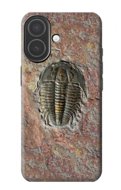 S1454 trilobite Fossile Etui Coque Housse pour iPhone 17
