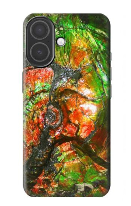S2694 ammonite Fossile Etui Coque Housse pour iPhone 17