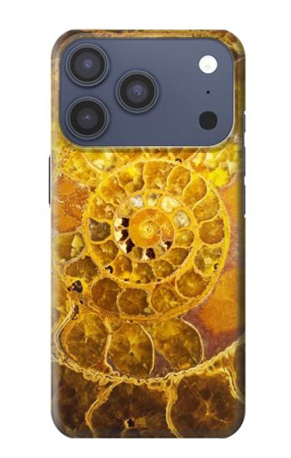 S1789 ammonite Fossiles Etui Coque Housse pour iPhone 17 Pro