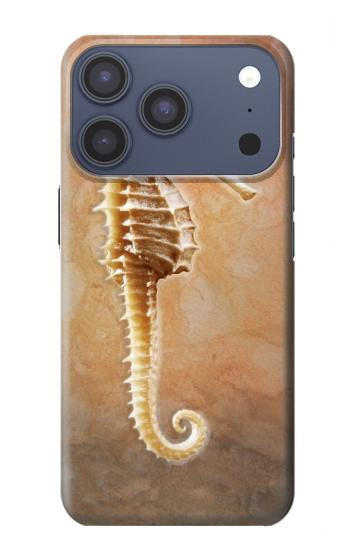 S2674 Hippocampe squelette Fossile Etui Coque Housse pour iPhone 17 Pro, 18 Pro