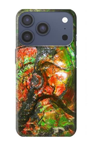 S2694 ammonite Fossile Etui Coque Housse pour iPhone 17 Pro, 18 Pro