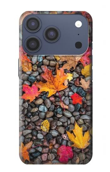 S3889 feuille d'érable Etui Coque Housse pour iPhone 17 Pro