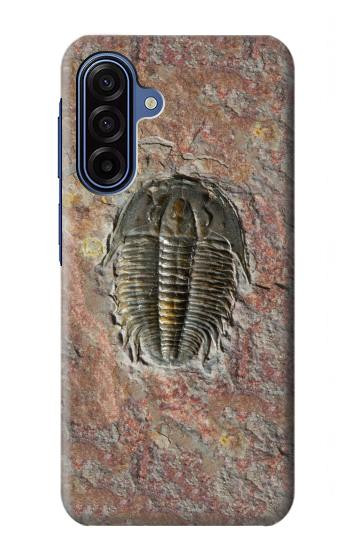 S1454 trilobite Fossile Etui Coque Housse pour Samsung Galaxy A17