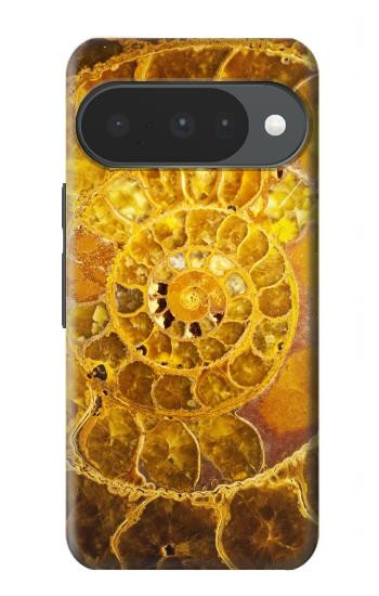 S1789 ammonite Fossiles Etui Coque Housse pour Google Pixel 10, 10 Pro
