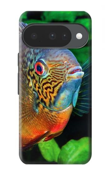S1812 cichlidés poisson Etui Coque Housse pour Google Pixel 10, 10 Pro