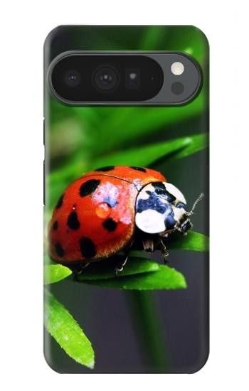 S0263 Coccinelle Etui Coque Housse pour Google Pixel 10 Pro XL