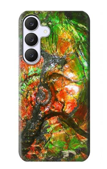 S2694 ammonite Fossile Etui Coque Housse pour Samsung Galaxy S25 FE