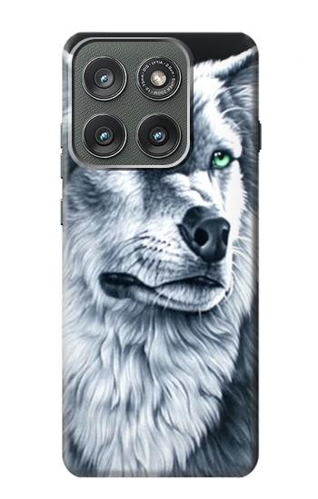 S0123 Loup blanc Etui Coque Housse pour Motorola Edge (2025)