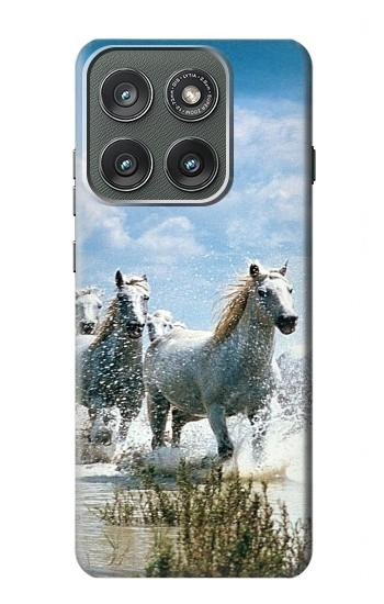 S0250 Cheval Blanc Etui Coque Housse pour Motorola Edge (2025)