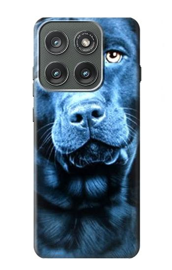 S0750 Labrador Retriever Etui Coque Housse pour Motorola Edge (2025)