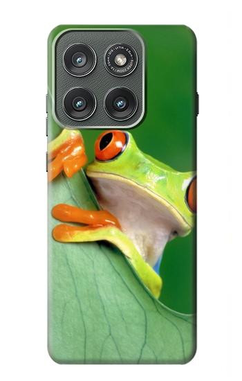 S1047 Petite grenouille Etui Coque Housse pour Motorola Edge (2025)