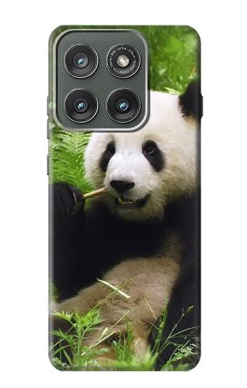 S1073 Panda Prenez plaisir à manger Etui Coque Housse pour Motorola Edge (2025)