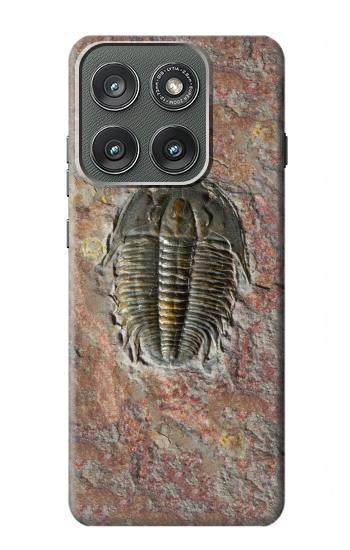 S1454 trilobite Fossile Etui Coque Housse pour Motorola Edge (2025)