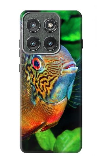 S1812 cichlidés poisson Etui Coque Housse pour Motorola Edge (2025)