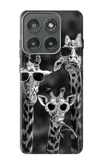 S2327 Girafes avec lunettes de soleil Etui Coque Housse pour Motorola Edge (2025)