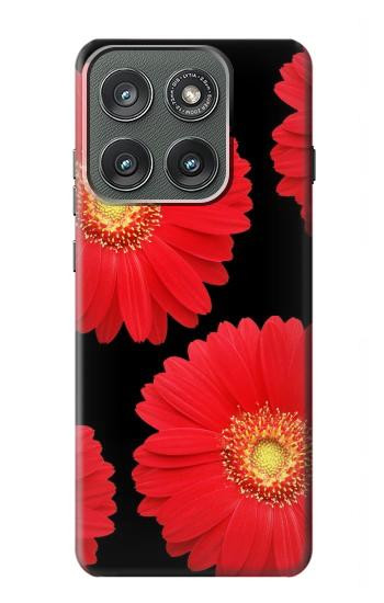 S2478 fleur rouge Daisy Etui Coque Housse pour Motorola Edge (2025)