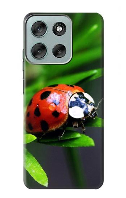 S0263 Coccinelle Etui Coque Housse pour Motorola Moto G56 S0263 Coccinelle Etui Coque Housse pour Motorola Moto G56