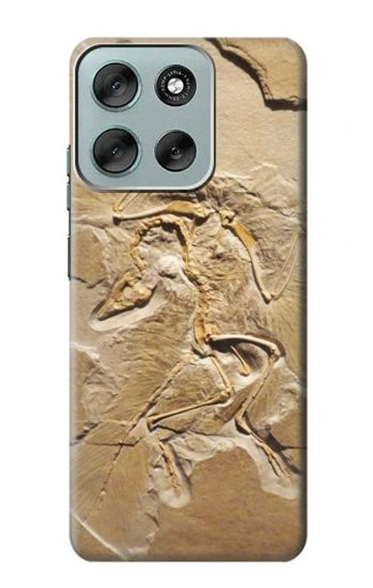 S0380 Fossile de dinosaure Etui Coque Housse pour Motorola Moto G56 S0380 Fossile de dinosaure Etui Coque Housse pour Motorola Moto G56