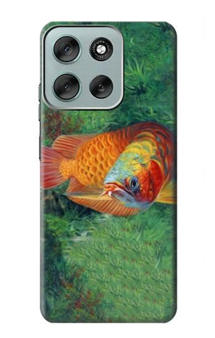 S1157 Rouge Arowana Poisson Etui Coque Housse pour Motorola Moto G56 S1157 Rouge Arowana Poisson Etui Coque Housse pour Motorola Moto G56