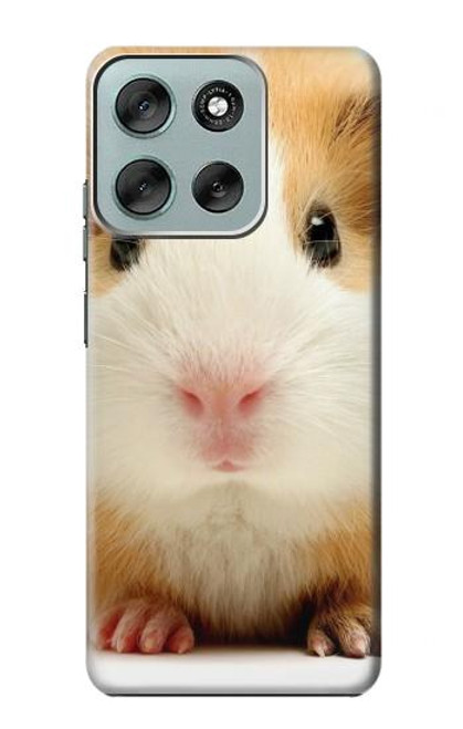 S1619 Mignon de porc Guinée Etui Coque Housse pour Motorola Moto G56 S1619 Mignon de porc Guinée Etui Coque Housse pour Motorola Moto G56