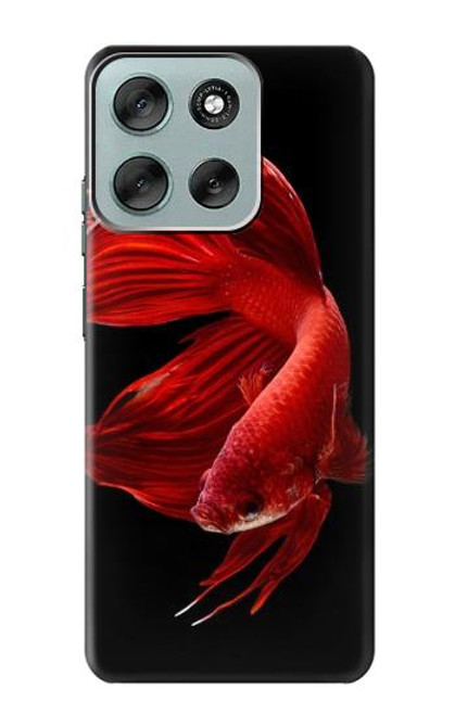 S2092 Rouge Poisson Combattant Etui Coque Housse pour Motorola Moto G56 S2092 Rouge Poisson Combattant Etui Coque Housse pour Motorola Moto G56