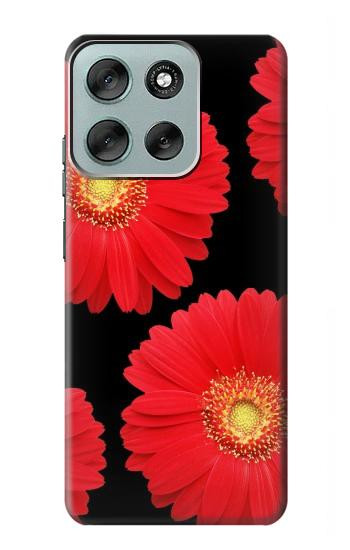S2478 fleur rouge Daisy Etui Coque Housse pour Motorola Moto G56