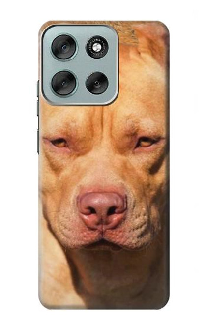 S2903 Chien américain Pitbull Etui Coque Housse pour Motorola Moto G56 S2903 Chien américain Pitbull Etui Coque Housse pour Motorola Moto G56