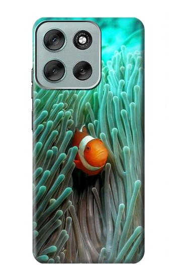 S3893 Poisson-clown Ocellaris Etui Coque Housse pour Motorola Moto G56