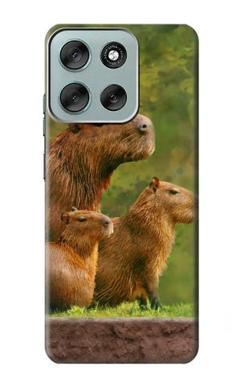 S3917 Cochon d'Inde géant de la famille Capybara Etui Coque Housse pour Motorola Moto G56