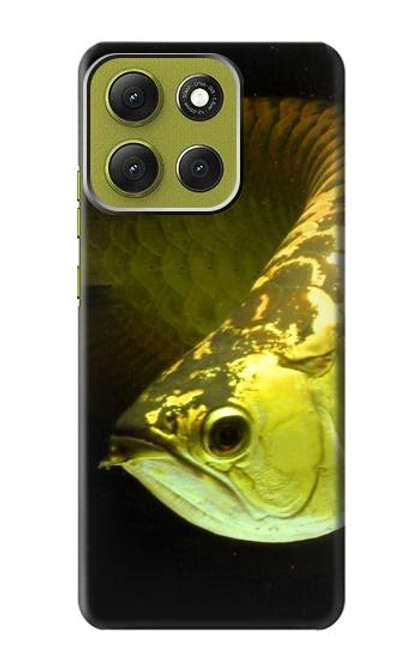 S1021 Or Arowana poissons Etui Coque Housse pour Motorola Moto G86 S1021 Or Arowana poissons Etui Coque Housse pour Motorola Moto G86