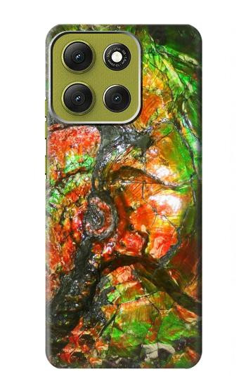 S2694 ammonite Fossile Etui Coque Housse pour Motorola Moto G86
