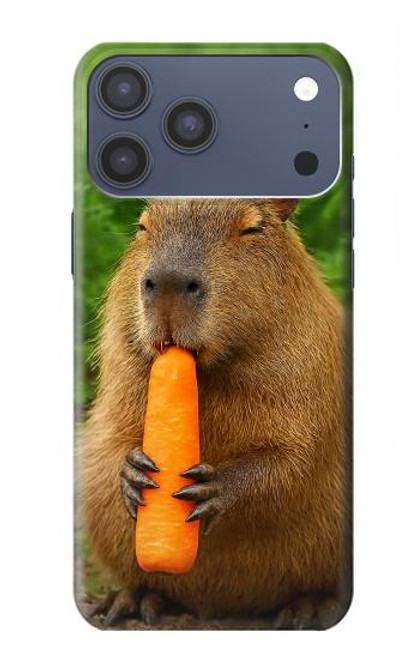 S4068 Papillon capybara Etui Coque Housse pour iPhone 17 Pro Max
