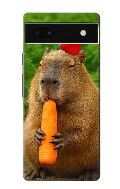 S4068 Papillon capybara Etui Coque Housse pour Google Pixel 6a