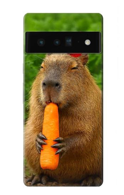 S4068 Papillon capybara Etui Coque Housse pour Google Pixel 6 Pro