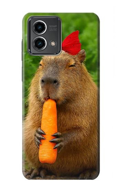 S4068 Papillon capybara Etui Coque Housse pour Motorola Moto G Stylus 5G (2023)