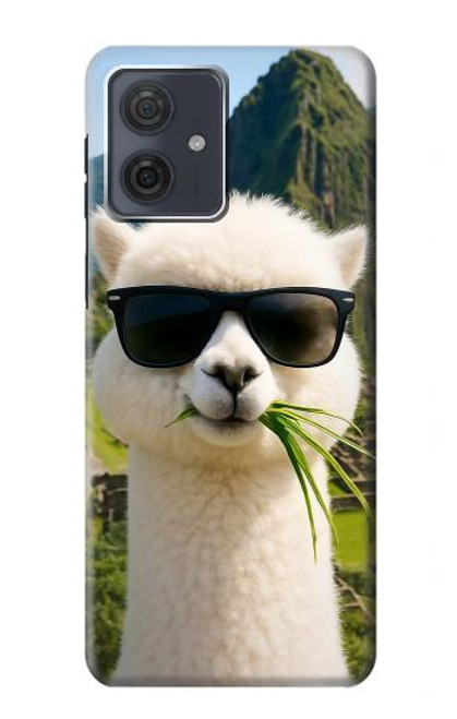 S4069 Lunettes de soleil alpaga Etui Coque Housse pour Motorola Moto G54